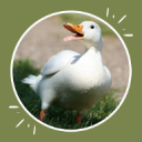 Raising Duck Guide for Profit 1.0.0