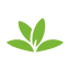 PlantNet Plant Identification 3.0.1