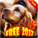 dog diseases 6.0