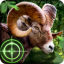 Wild Hunter 3D 1.0.10